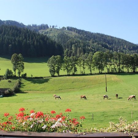 Blonbauer Villa Schladming Buitenkant foto