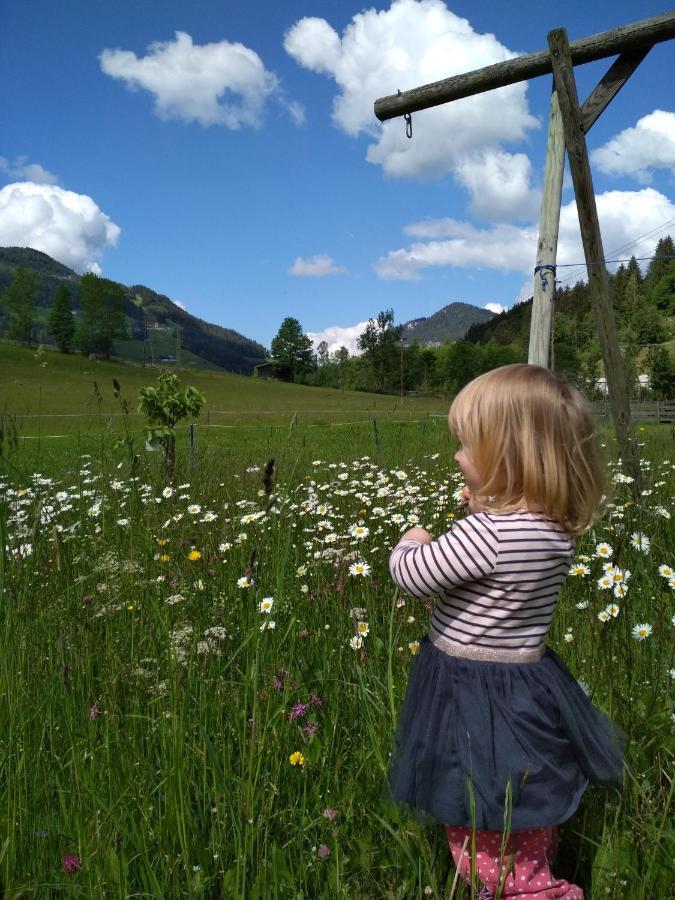 Blonbauer Villa Schladming Buitenkant foto