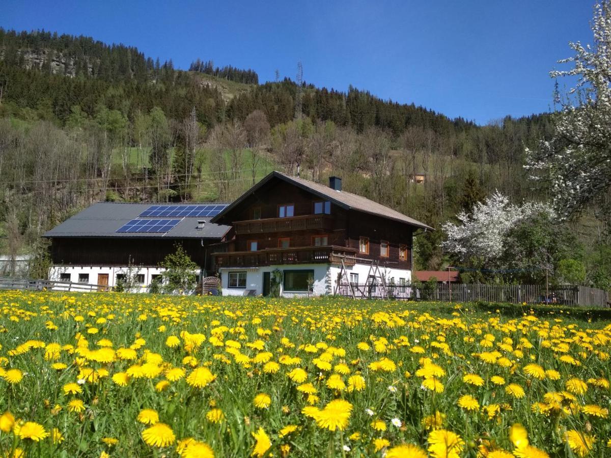Blonbauer Villa Schladming Buitenkant foto