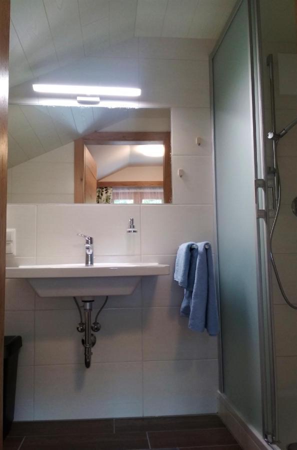 Blonbauer Villa Schladming Buitenkant foto