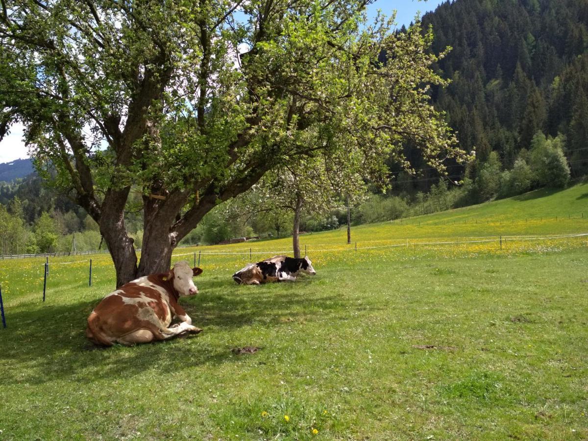 Blonbauer Villa Schladming Buitenkant foto