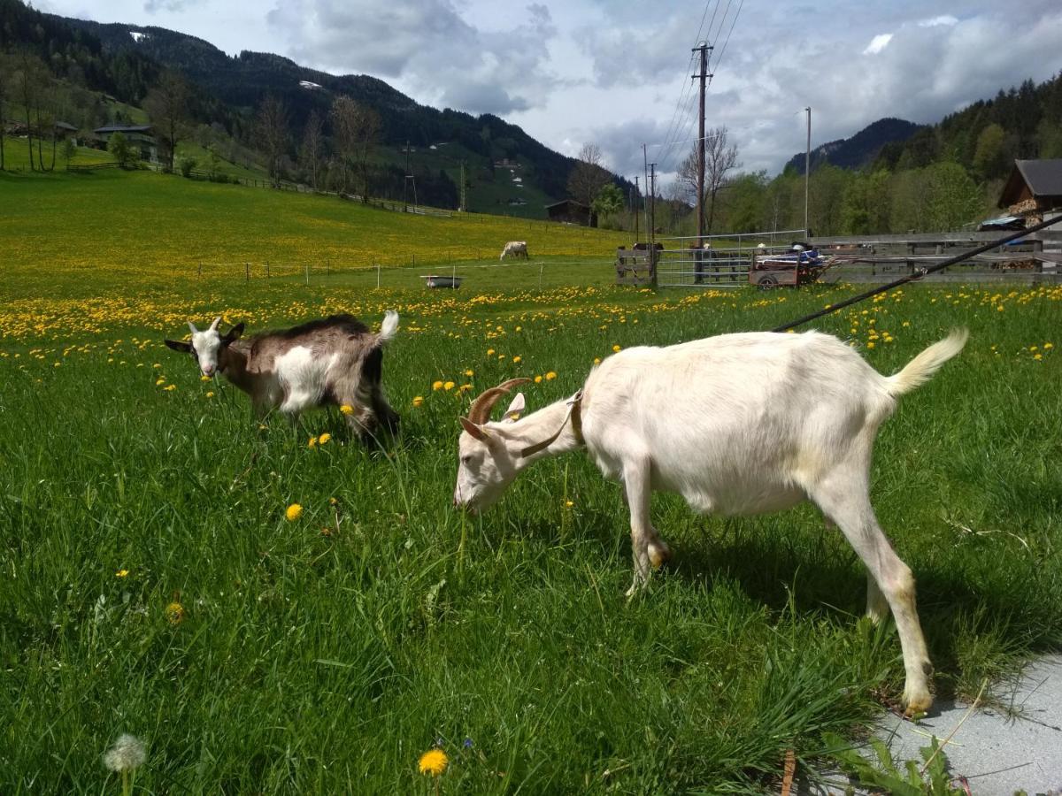 Blonbauer Villa Schladming Buitenkant foto