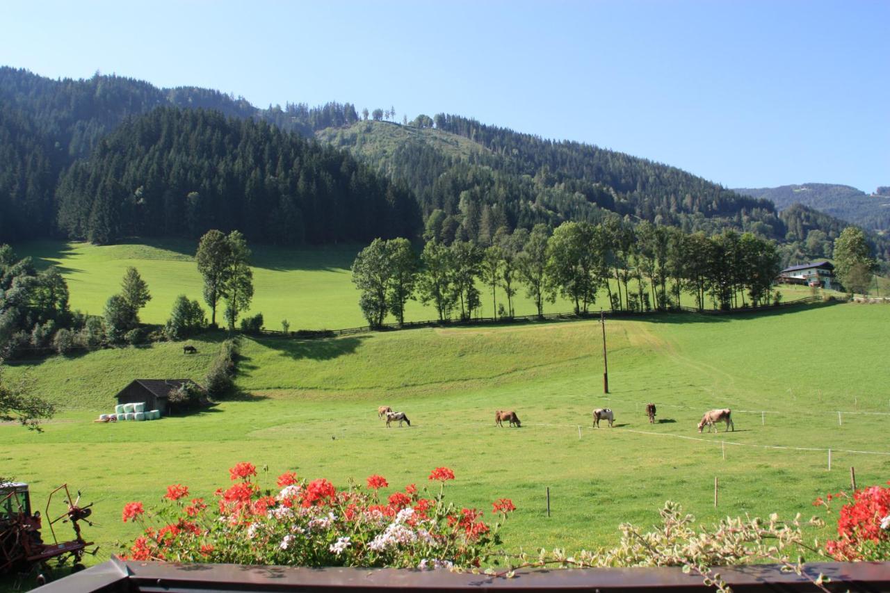 Blonbauer Villa Schladming Buitenkant foto