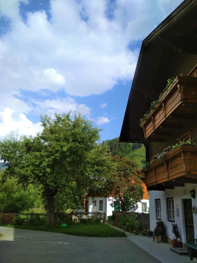 Blonbauer Villa Schladming Buitenkant foto